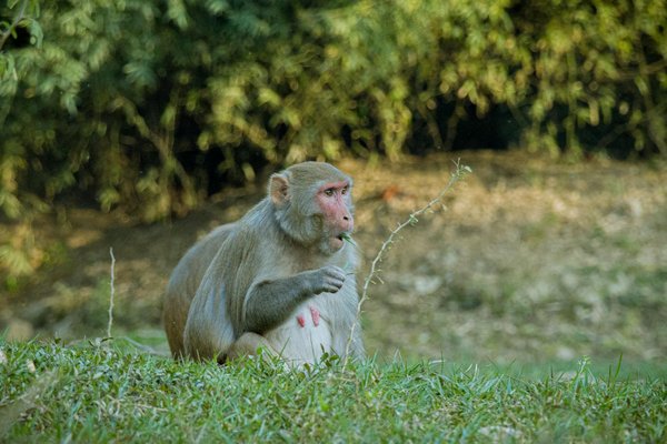 Trouver la diététicienne idéale à Strasbourg pour vous aider